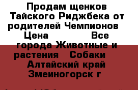 Продам щенков Тайского Риджбека от родителей Чемпионов › Цена ­ 30 000 - Все города Животные и растения » Собаки   . Алтайский край,Змеиногорск г.